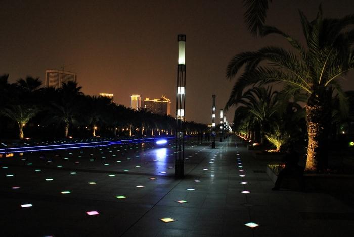 城市公園庭院茄子视频在线免费观看夜景效果照片